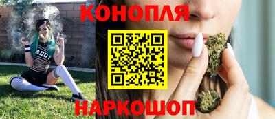 крисы Абинск