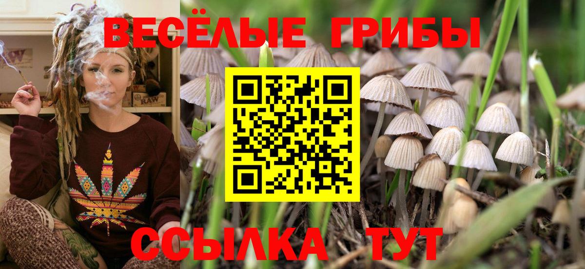 Псилоцибиновые грибы MAGIC MUSHROOMS Абакан