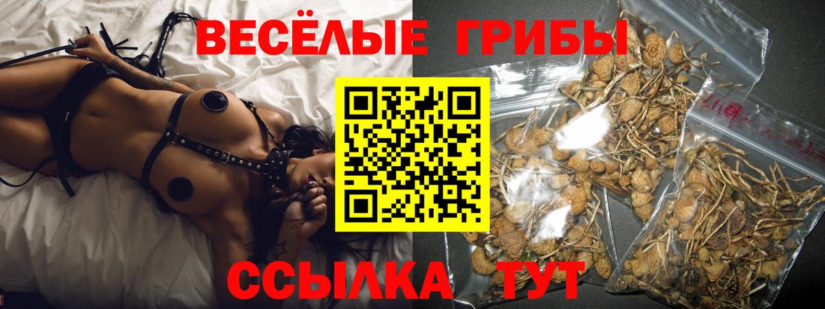 Псилоцибиновые грибы Psilocybine cubensis  Вход с VPN  Абакан 